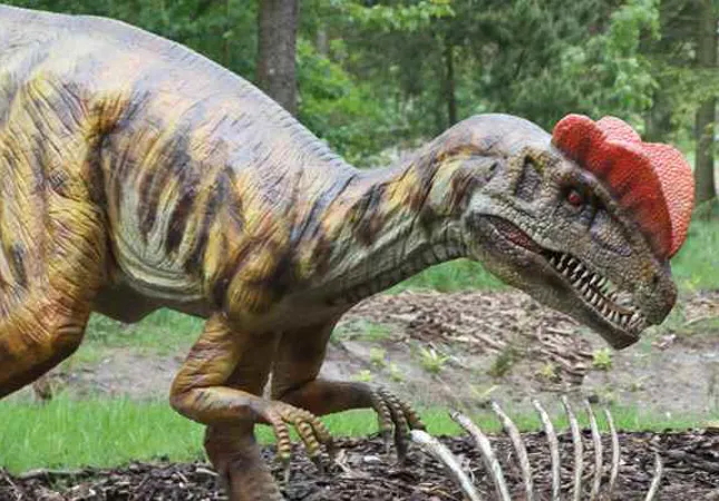 双冠龙定制仿真模型