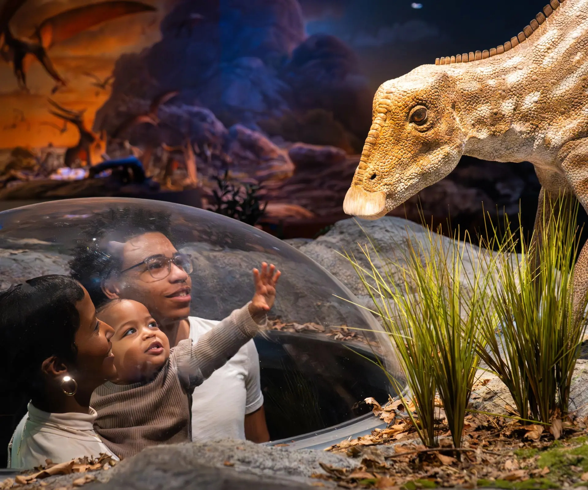 仿真恐龙生产定制厂家